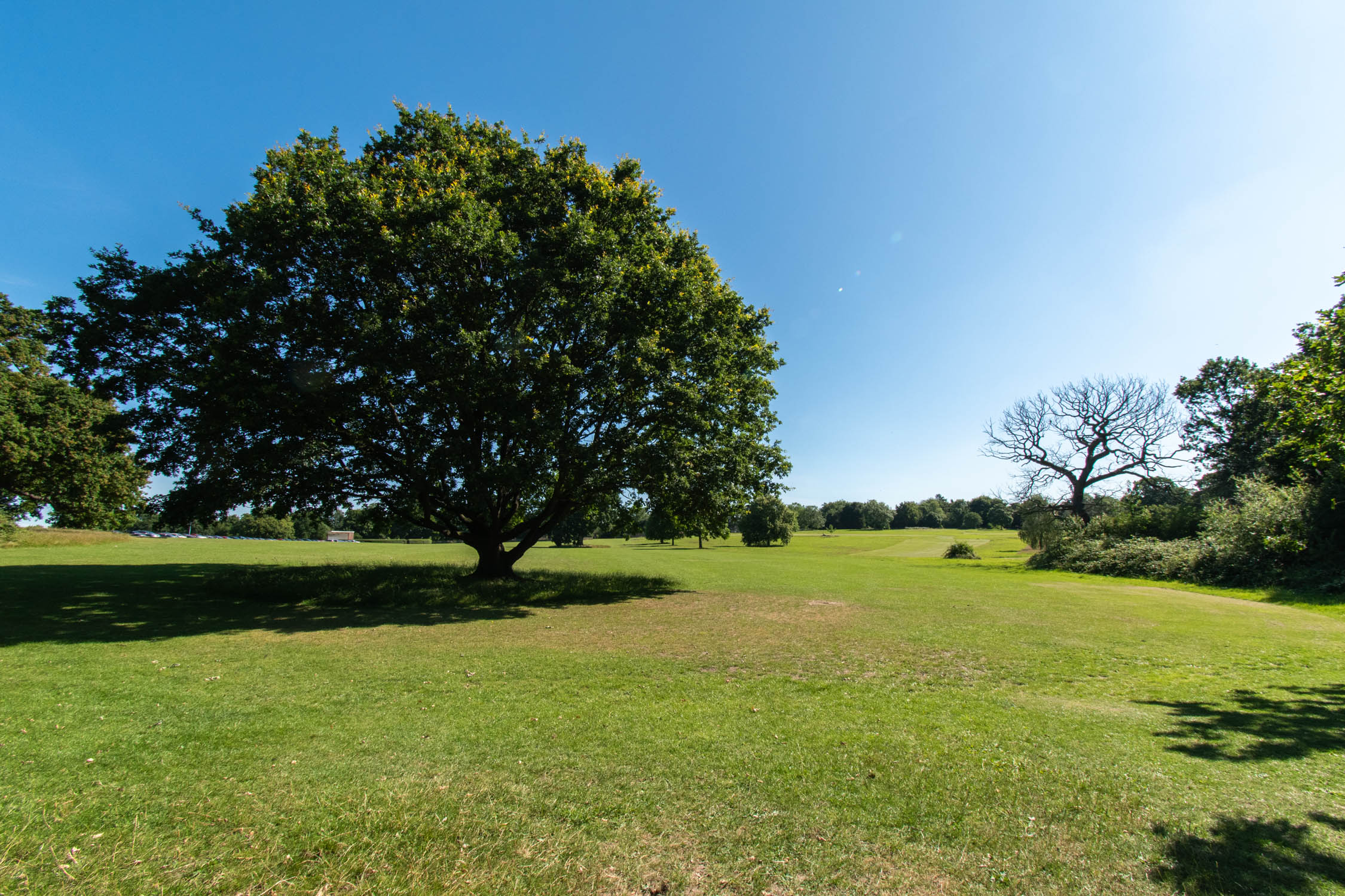 Morden Park