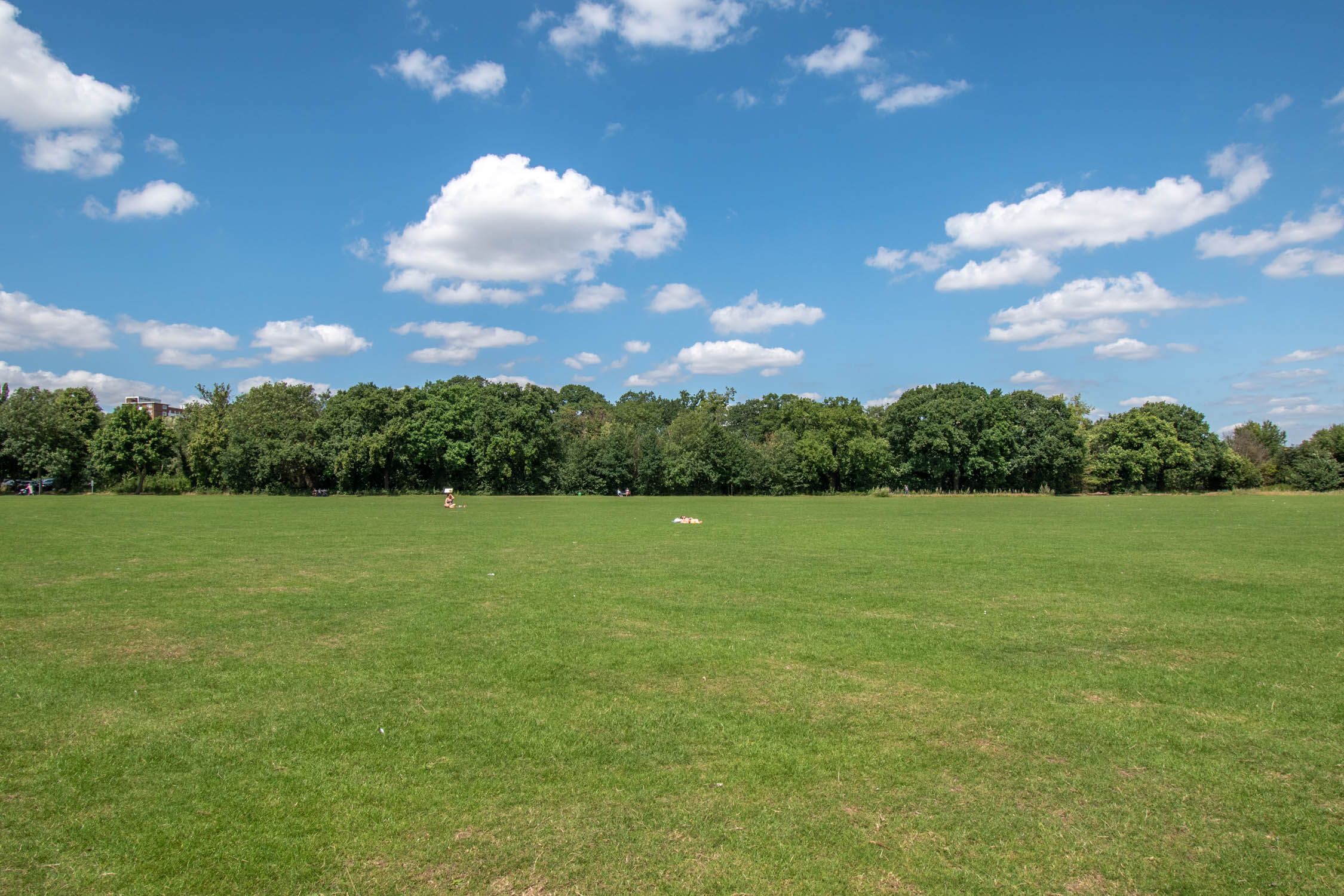 Wimbledon Park